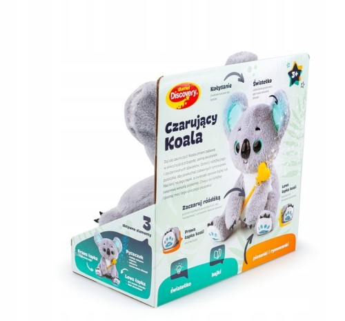 Dumel Interaktywny Czarujący Koala Mówi po polsku