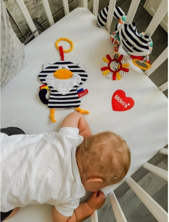 Kot Pasiak szeleścik mom's care